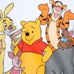 Disney Winnie The Pooh And Pals Pullover Sweatshirt For Adults -Fashion Clothing Store 5201059750212 3