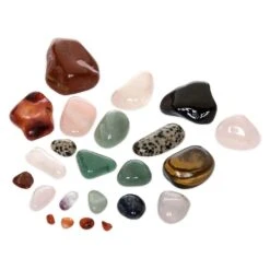 Disney Hobby Rock Tumbler – National Geographic -Fashion Clothing Store 6103105633212 3